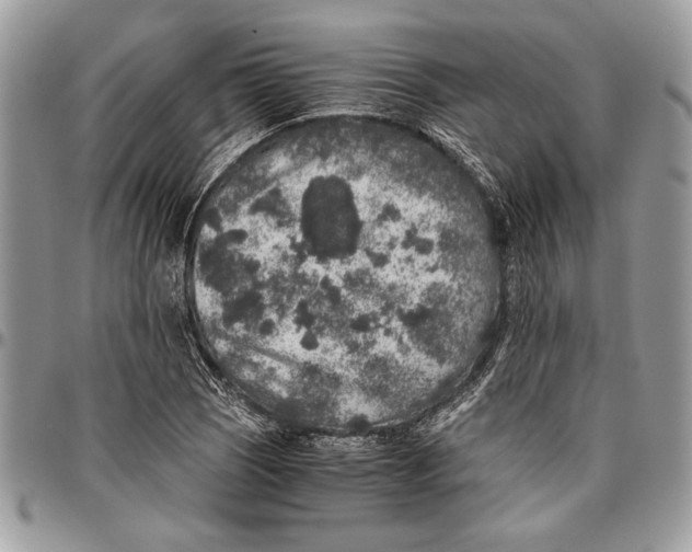 X0000096421121200802141627