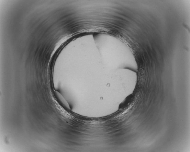 X0000096421122200802141627