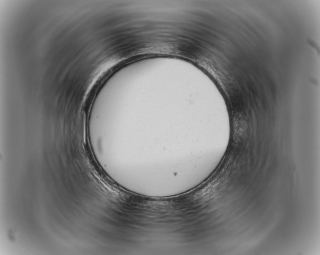 X0000096421123200802141627