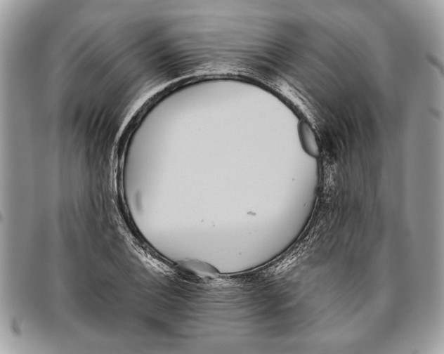 X0000096421124200802141627