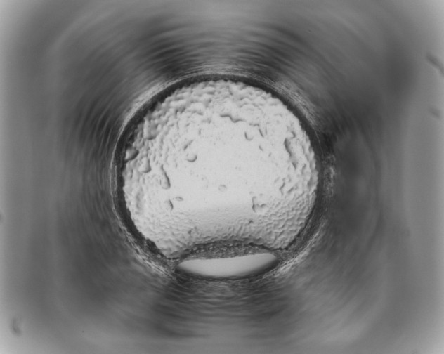 X0000096421125200802141628