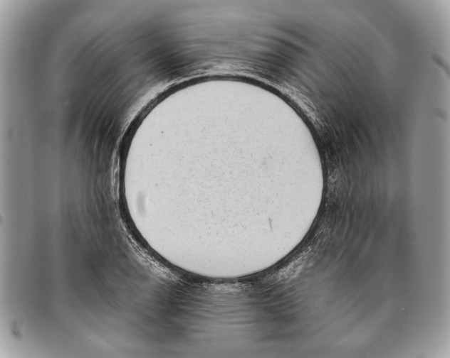 X0000096421126200802141628