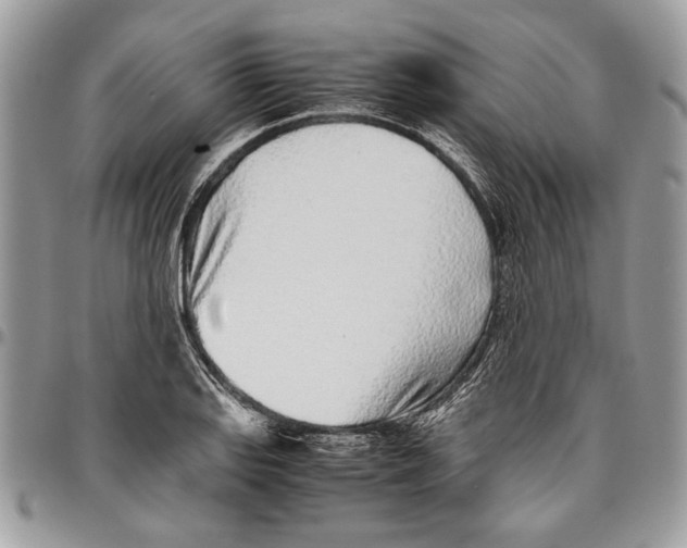 X0000096421127200802141628