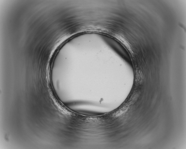 X0000096421128200802141628