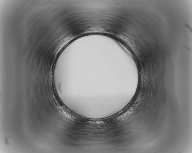 X0000096421129200802141628