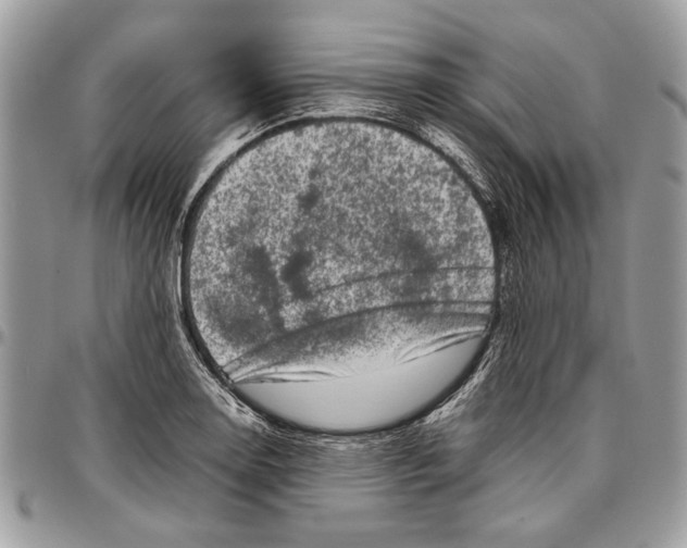 X0000096421130200802141628