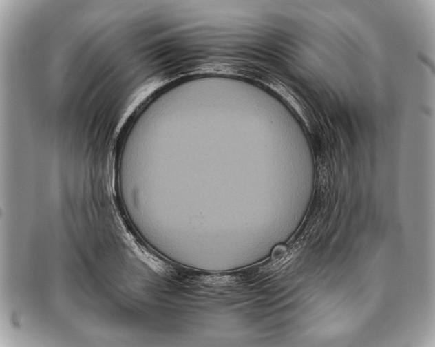 X0000096421131200802141628