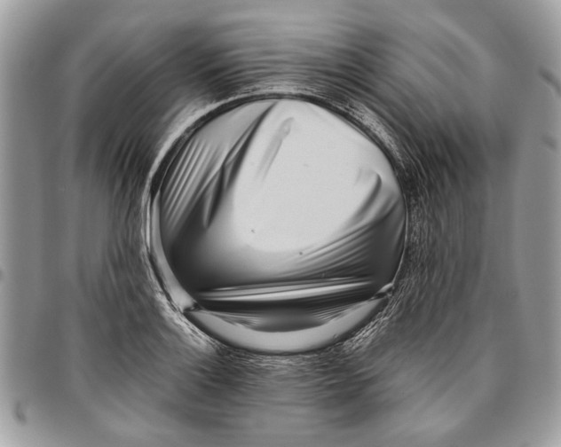 X0000096421132200802141628