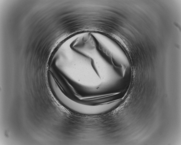 X0000096421133200802141628