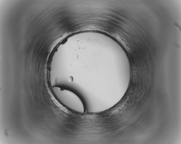 X0000096421134200802141628