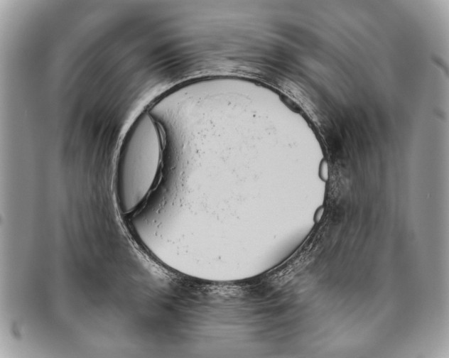 X0000096421136200802141628