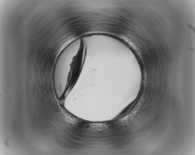 X0000096421137200802141628