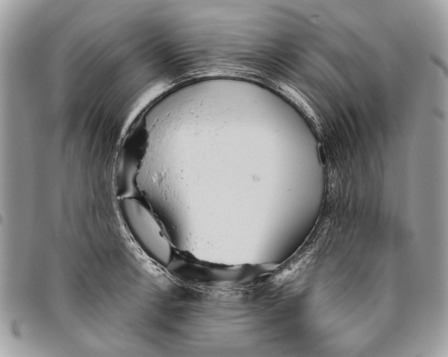 X0000096421138200802141628