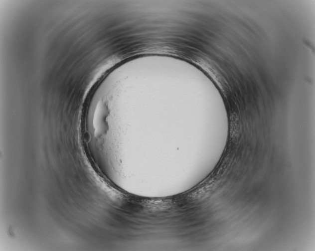 X0000096421139200802141628