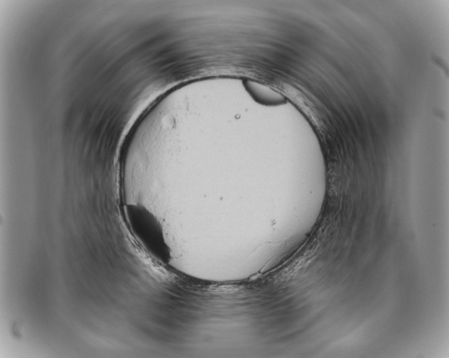 X0000096421140200802141628