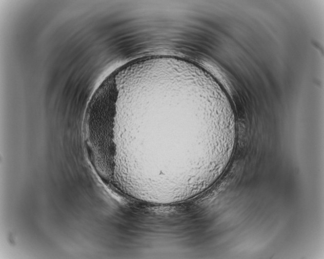 X0000096421141200802141628