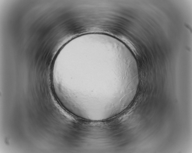 X0000096421142200802141628