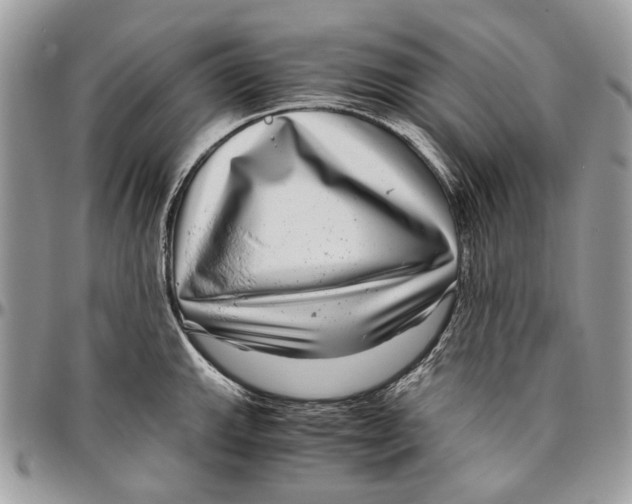 X0000096421143200802141628