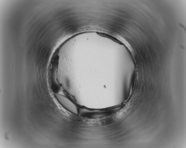 X0000096421144200802141628