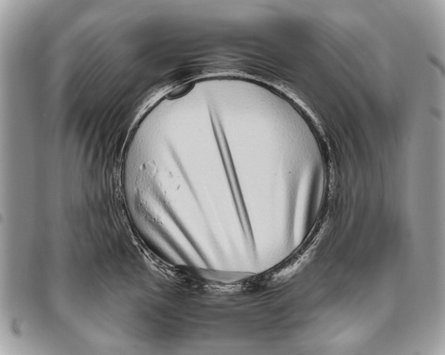 X0000096421145200802141628