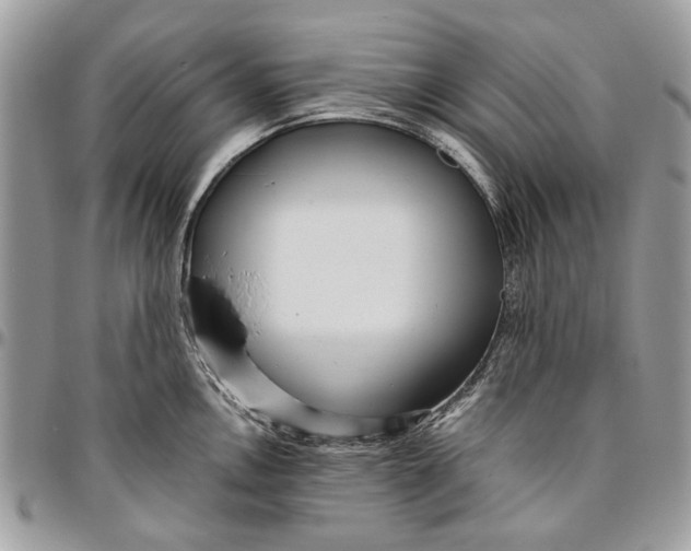 X0000096421146200802141628