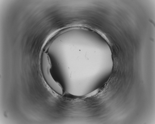 X0000096421148200802141628