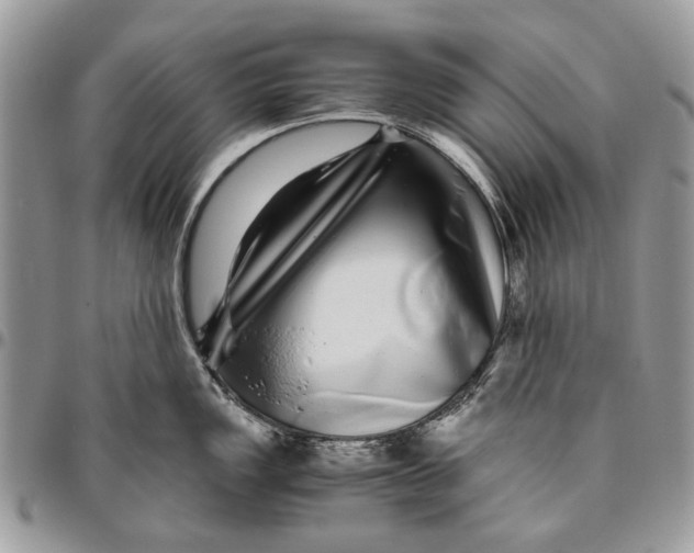 X0000096421149200802141628