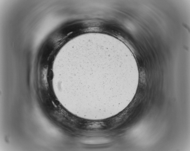 X0000096421150200802141628