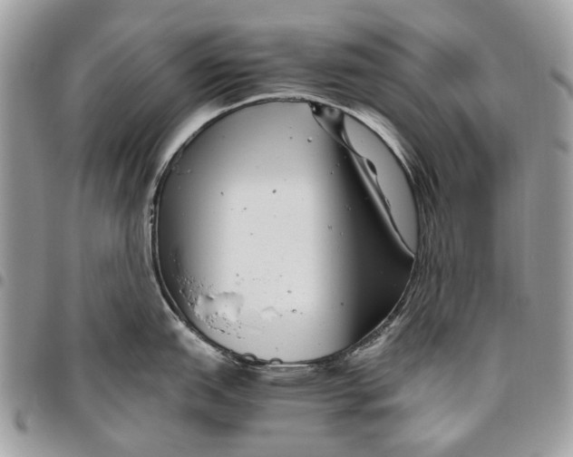 X0000096421151200802141628