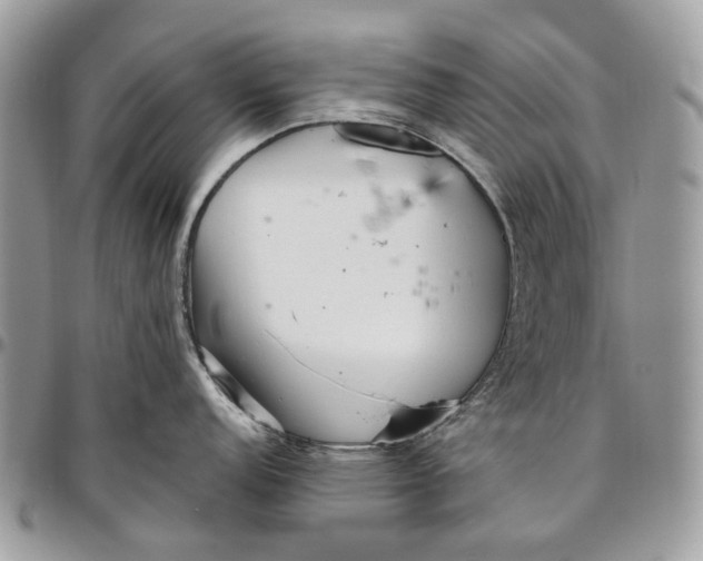 X0000096421152200802141628