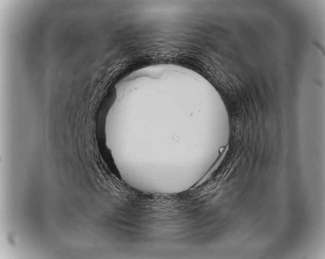 X0000096421153200802141627