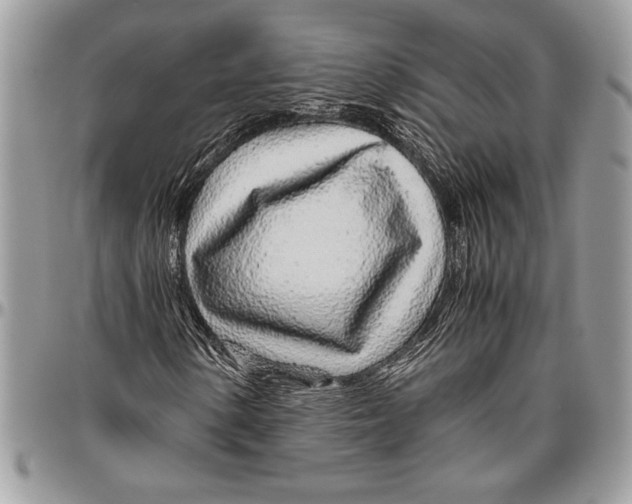 X0000096421154200802141627