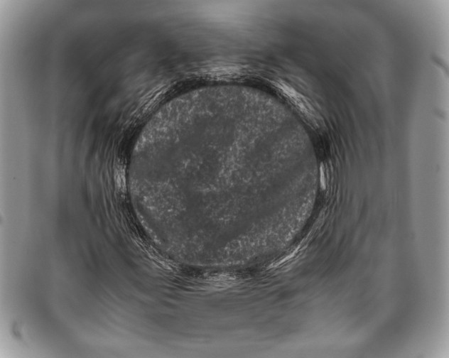 X0000096421155200802141627