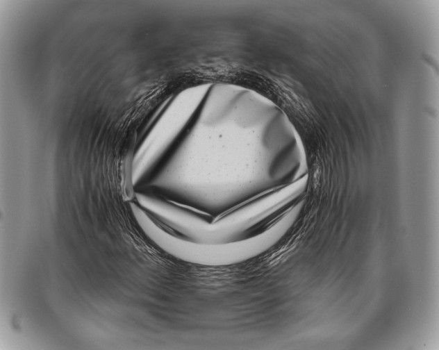 X0000096421156200802141627