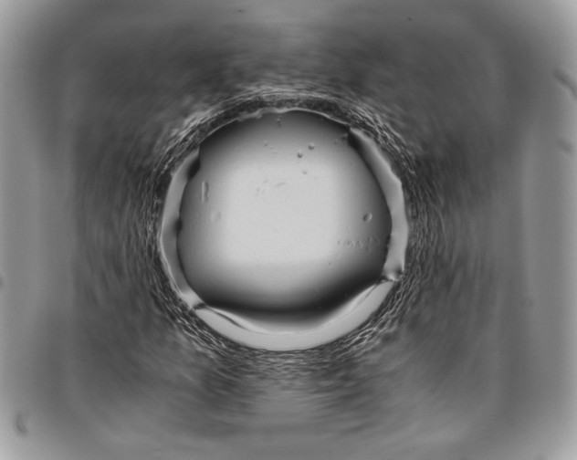 X0000096421157200802141627