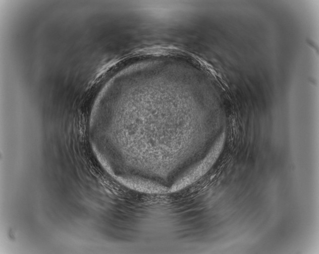 X0000096421158200802141627