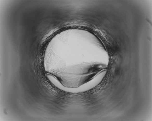 X0000096421159200802141627