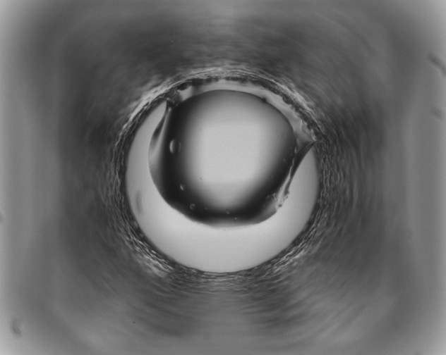 X0000096421160200802141627