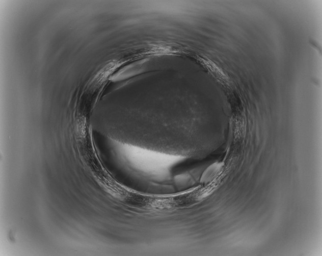 X0000096421161200802141627