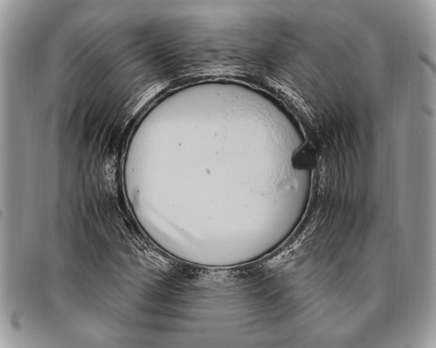 X0000096421162200802141627