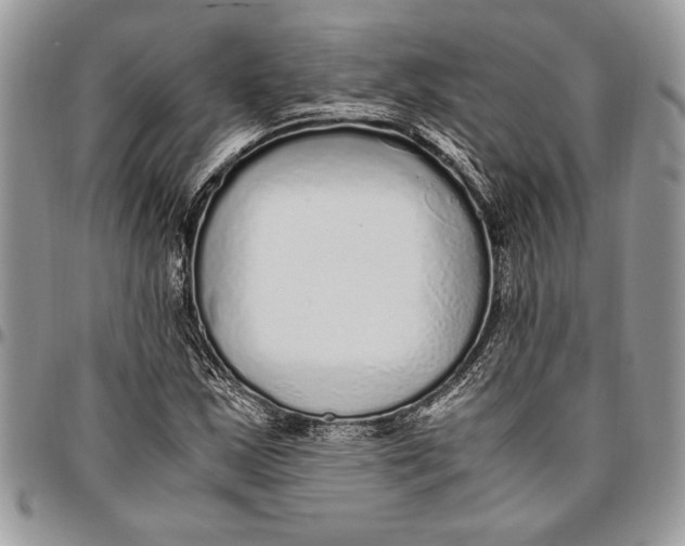 X0000096421163200802141627