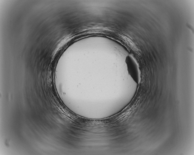 X0000096421164200802141627