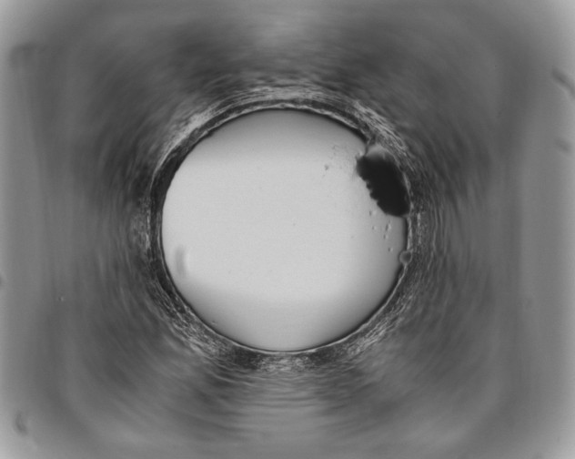 X0000096421165200802141627