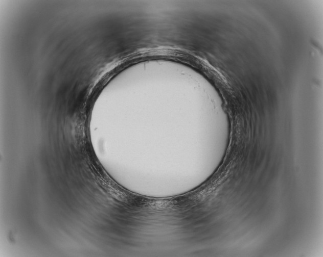 X0000096421166200802141627