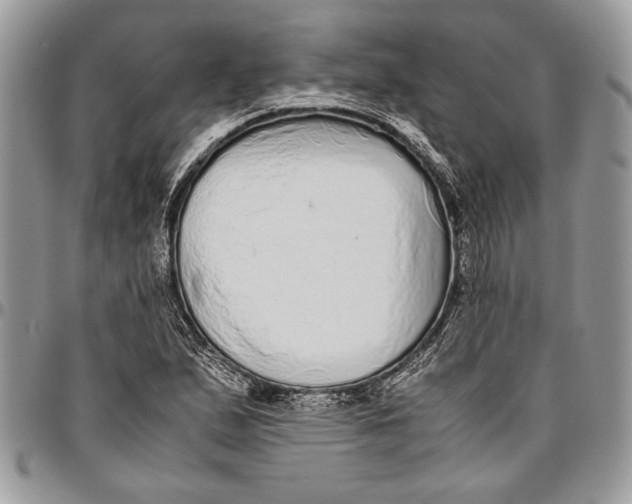 X0000096421167200802141627