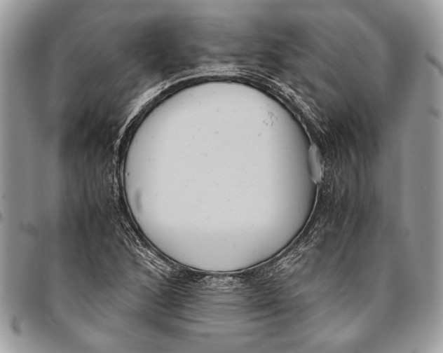 X0000096421168200802141627