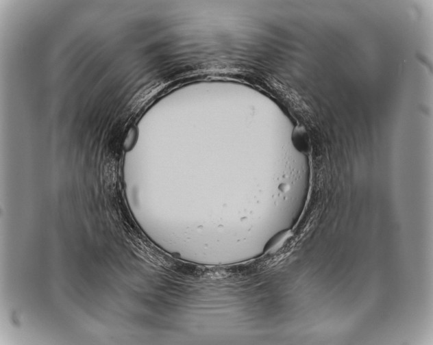 X0000096421169200802141627