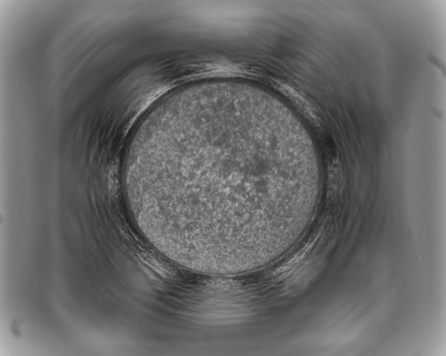 X0000096421170200802141627