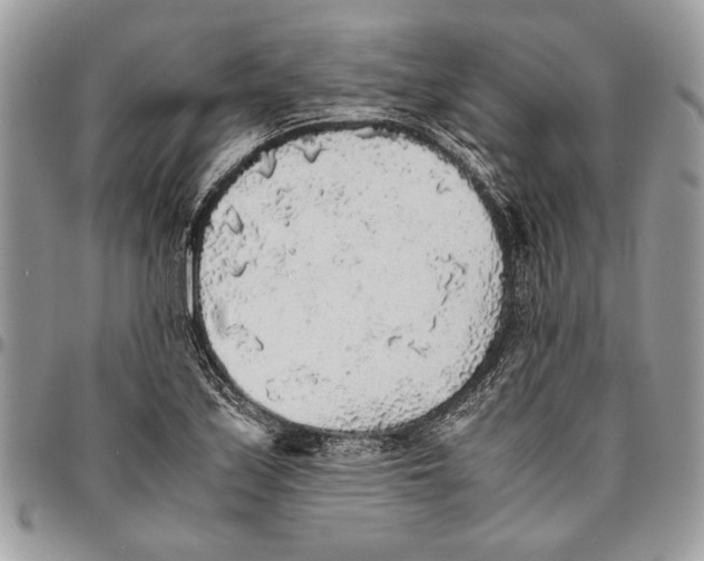 X0000096421171200802141627