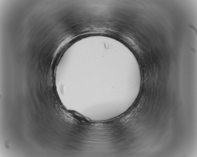 X0000096421172200802141627